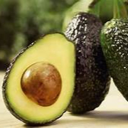 Aguacate