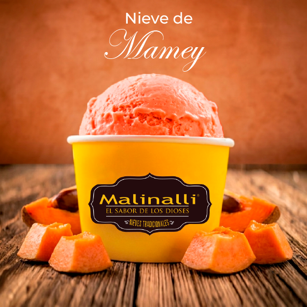 Litro de Nieve(Leche)