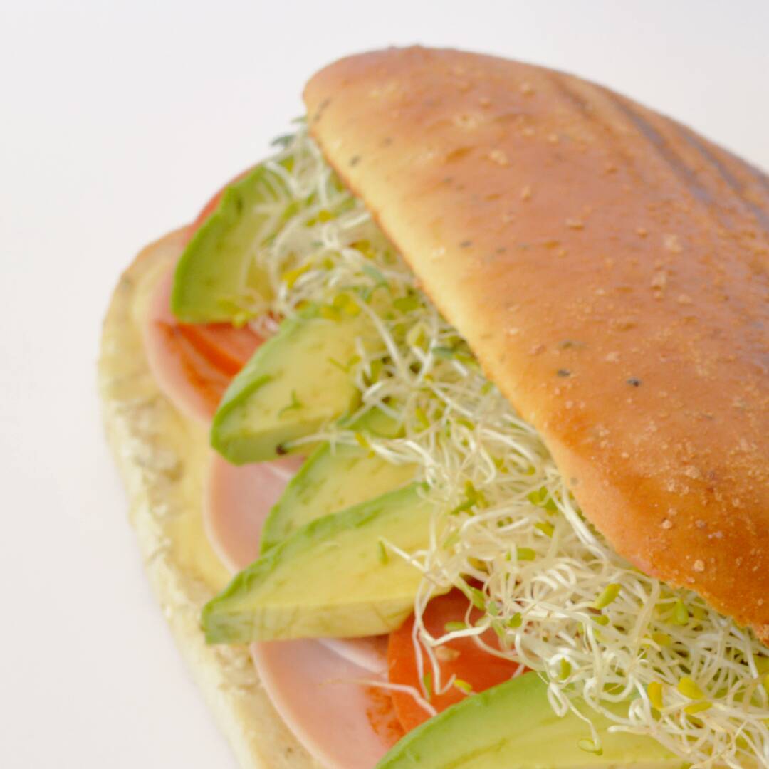 Panini Pavo