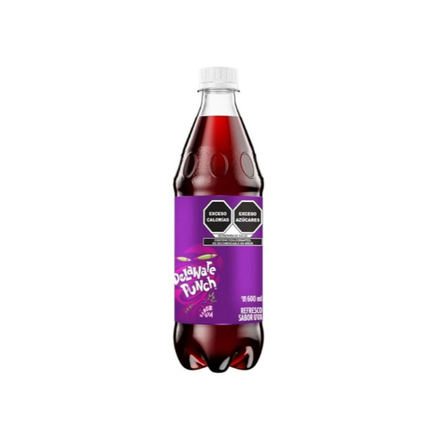 Delaware Punch Pet 600 ml