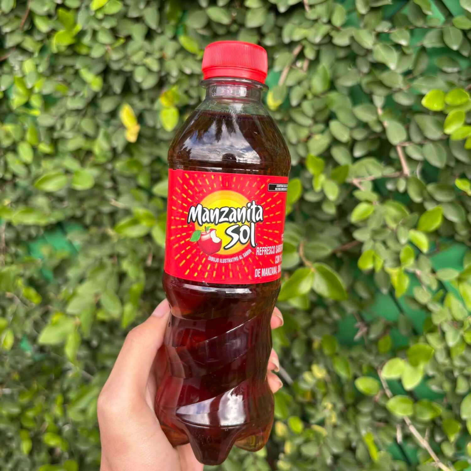 Manzanita 355ml