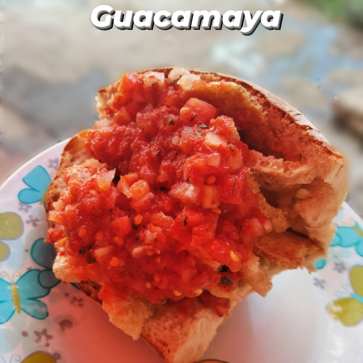 Guacamaya Tradicional