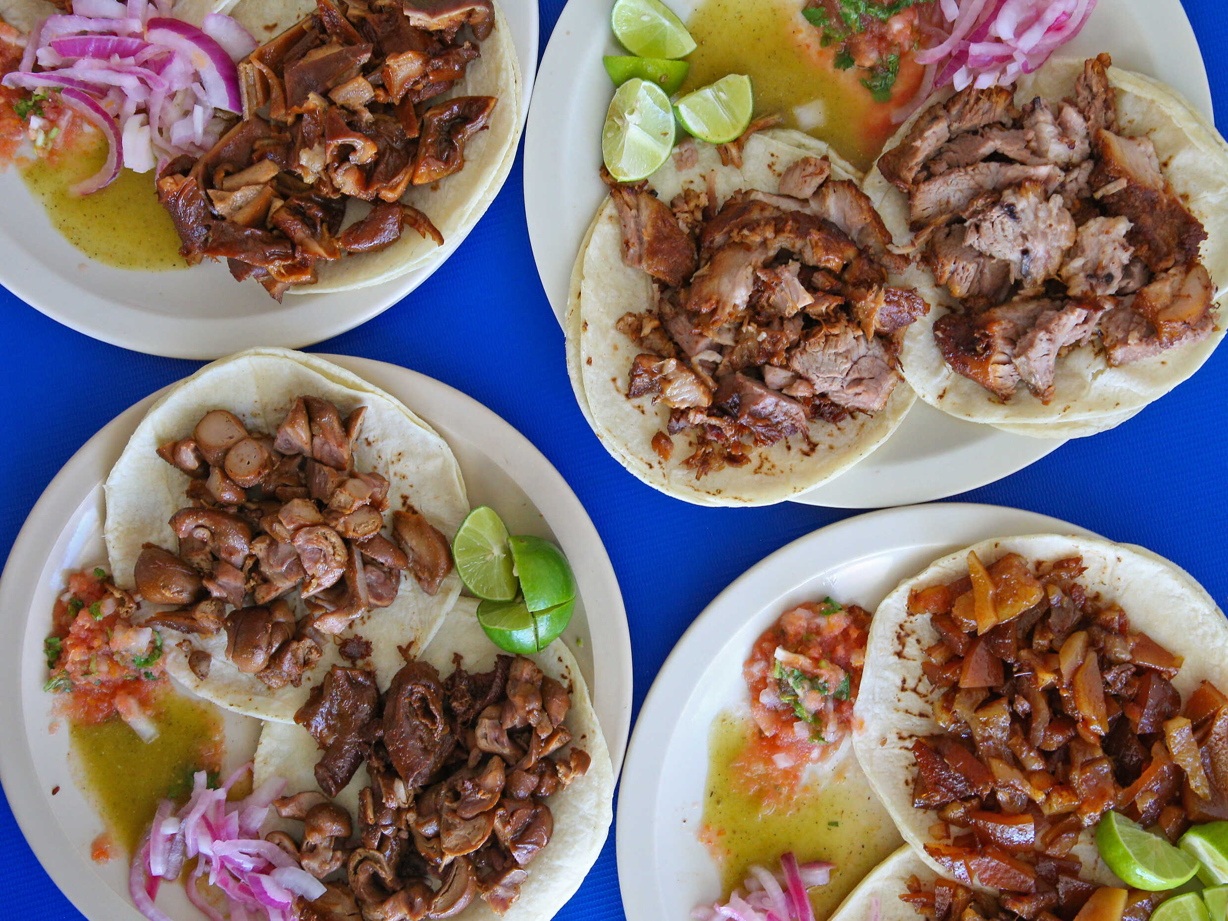 CARNITAS VILLA VERDE