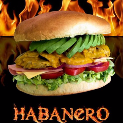Papá Torta Habanera