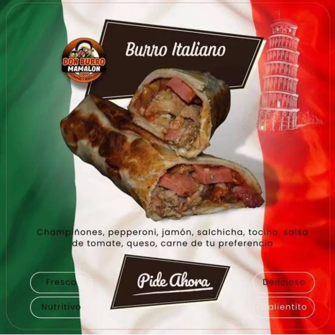 Burro Italiano Mediano