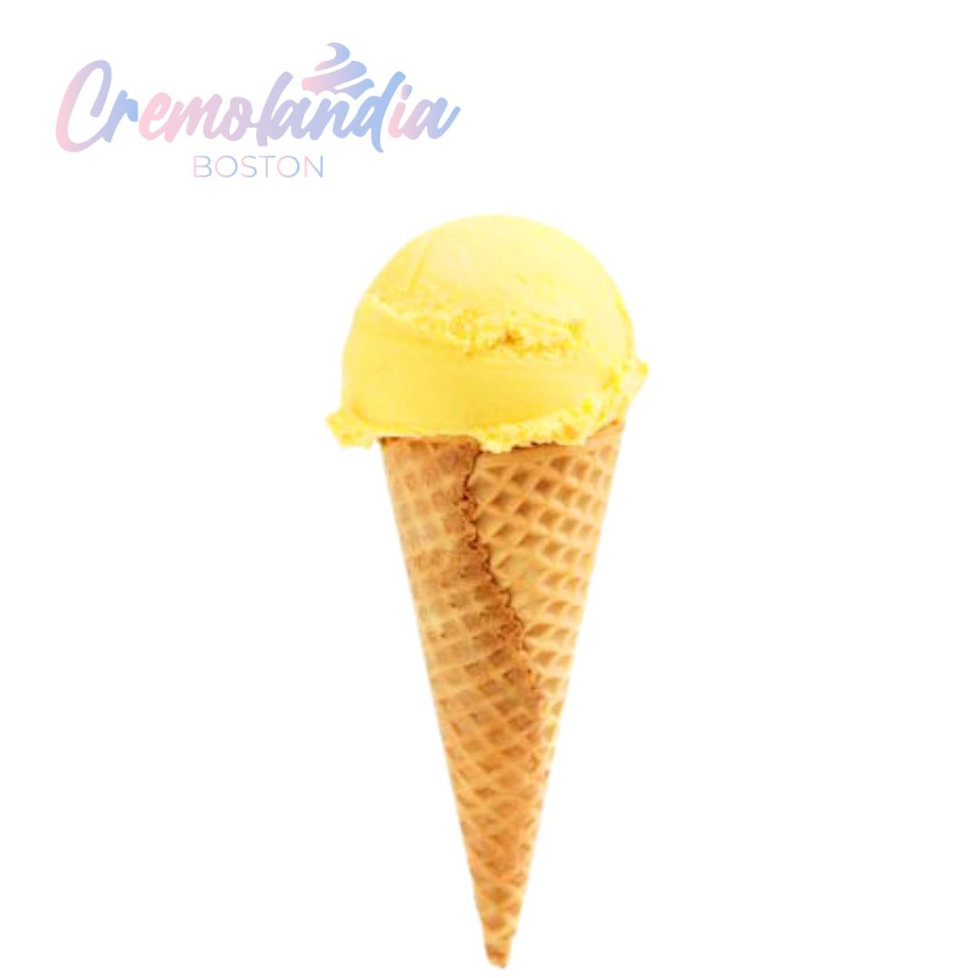 Cono Sencillo