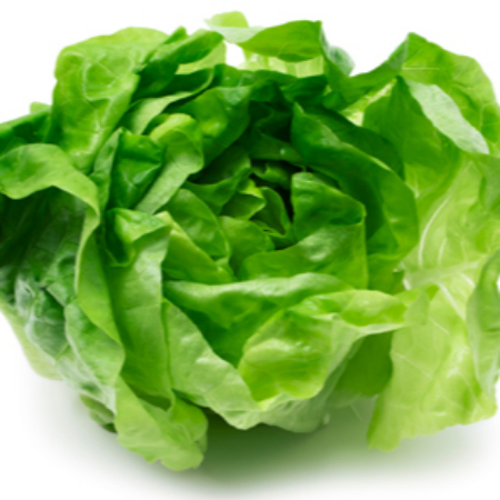Lechuga