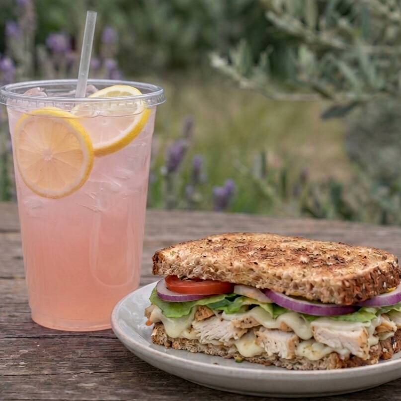 😋 Protein Sandwich + Refresher
