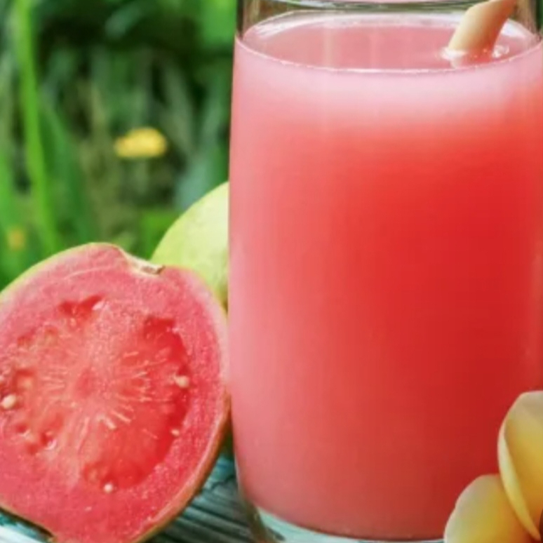 SUCO PREPARADO COM A FRUTA NATURAL, ÁGUA MINERAL E AÇUCAR
