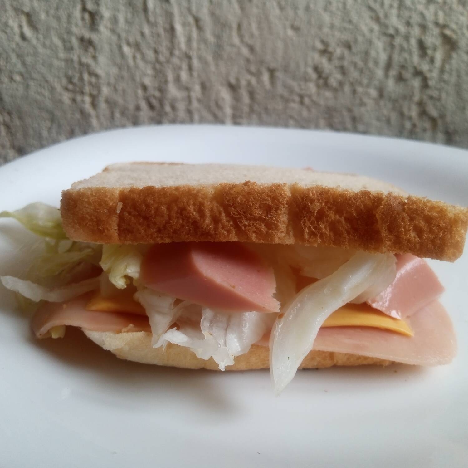 Sandwich Mom Lex