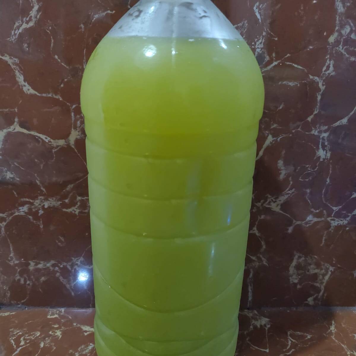 Piña con Chaya 1L