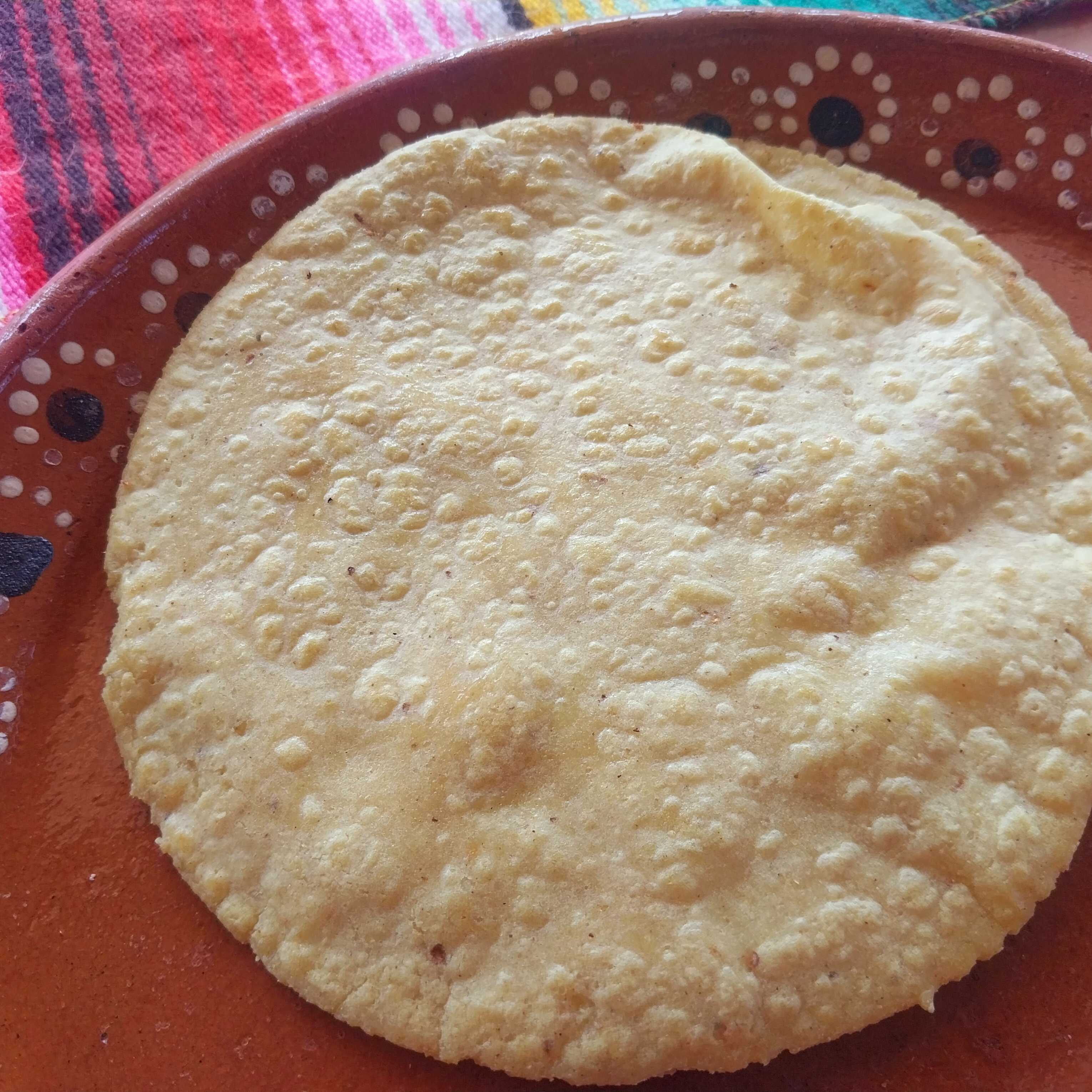 Tortilla 3 pzas