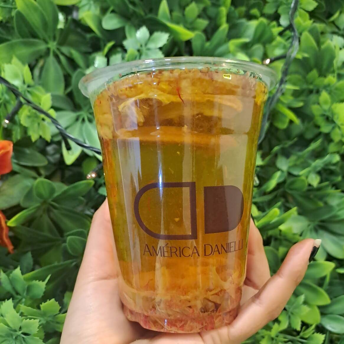 Mango, Naranja, Piña, Mandarina y Fresa