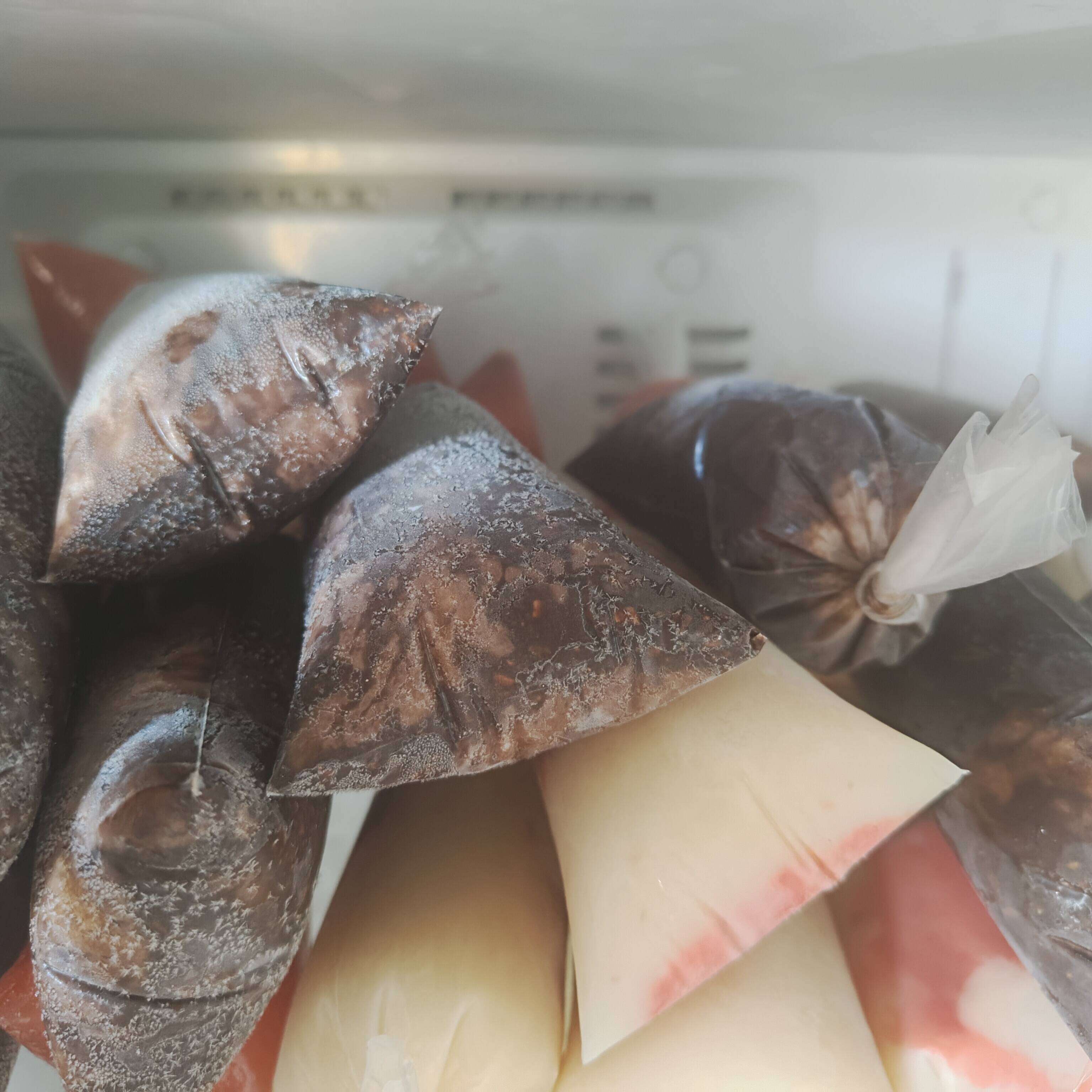 bolis magnum nuez