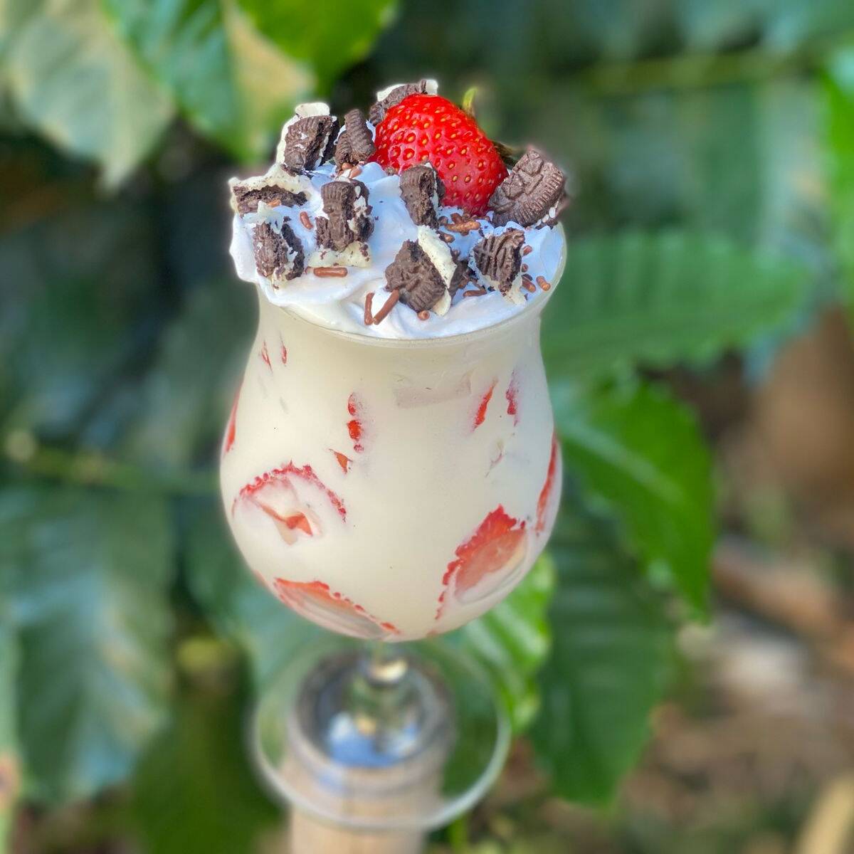 Fresas con Crema 10 onz