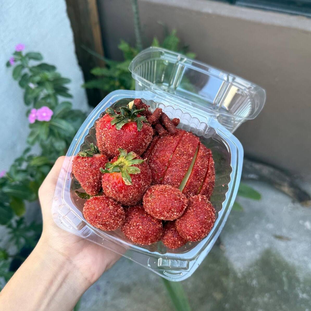 Deli Mili