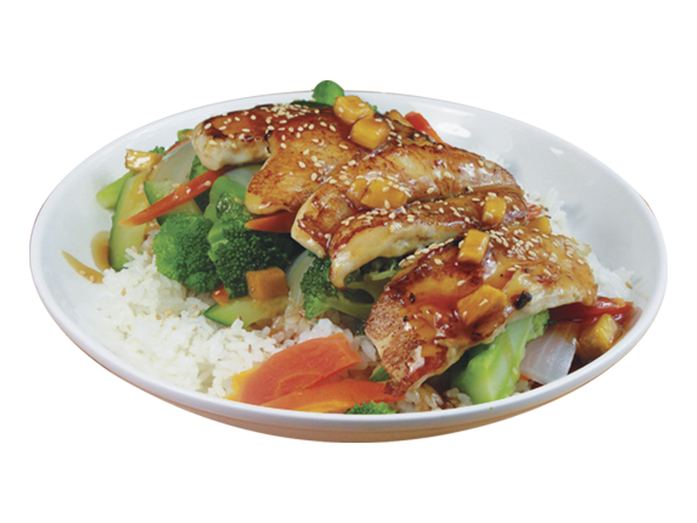 Teriyaki Especial