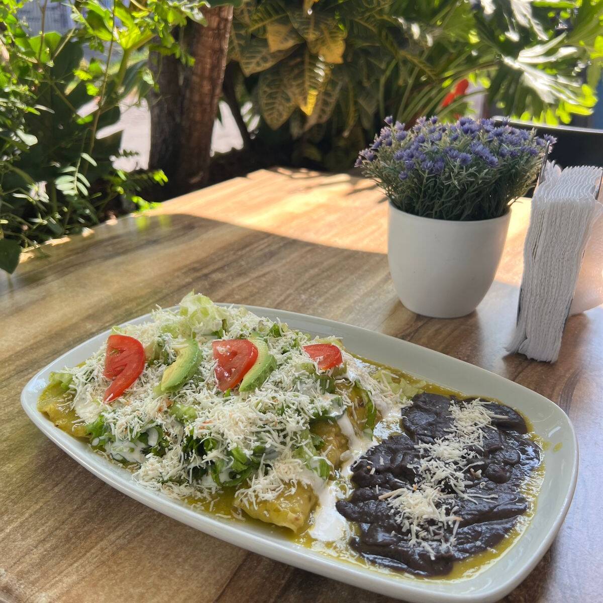 Enchiladas Pollo, Panela o Jamón
