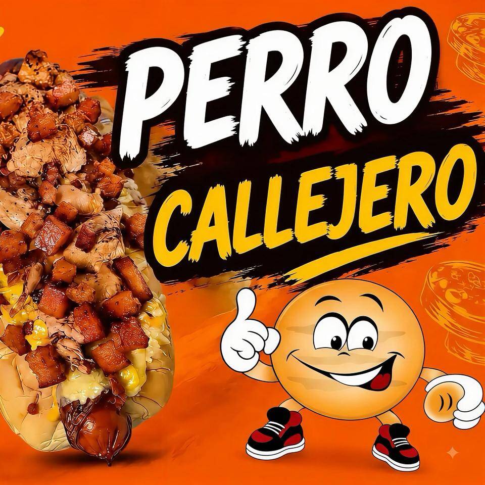 PERRO CALLEJERO