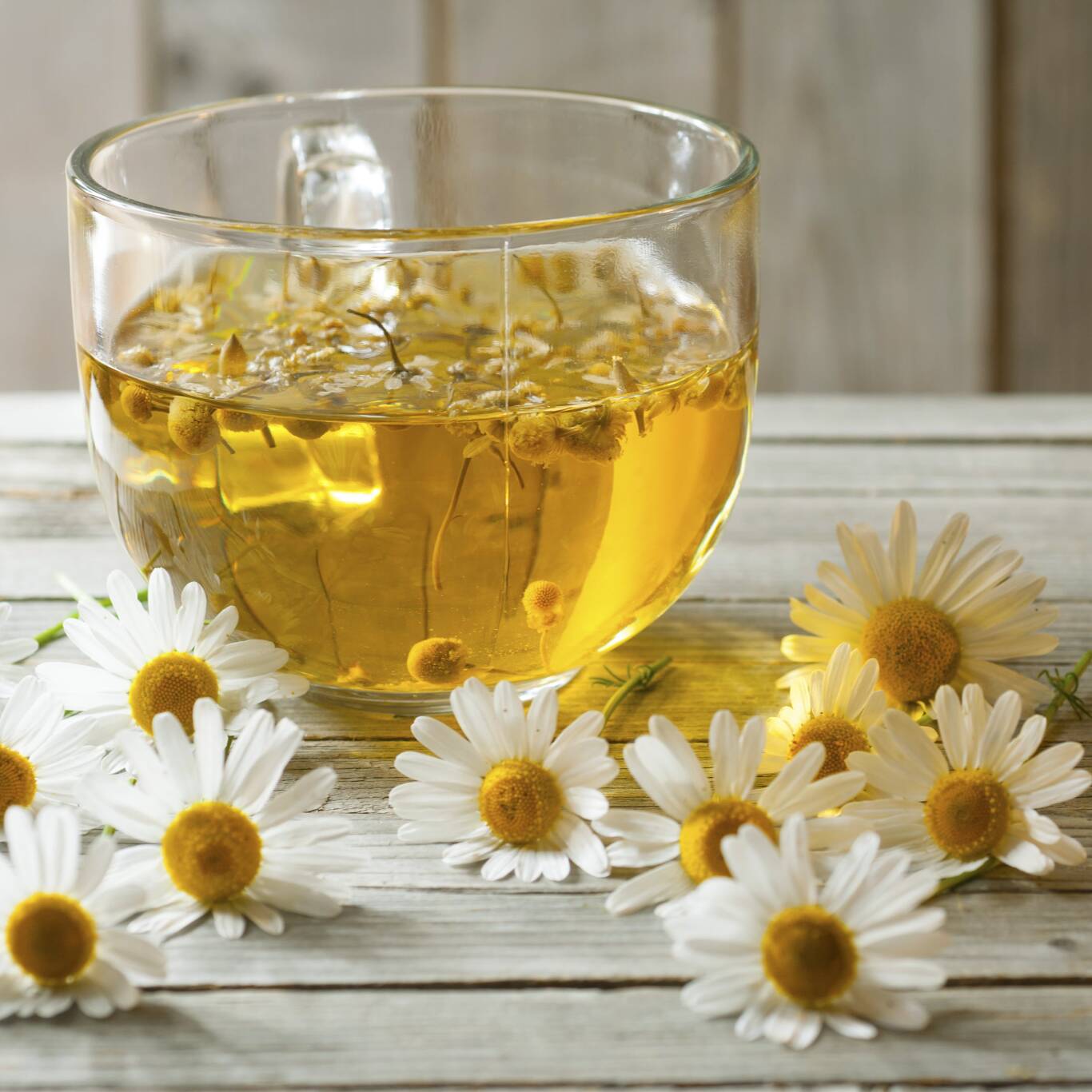 TÉ MANZANILLA