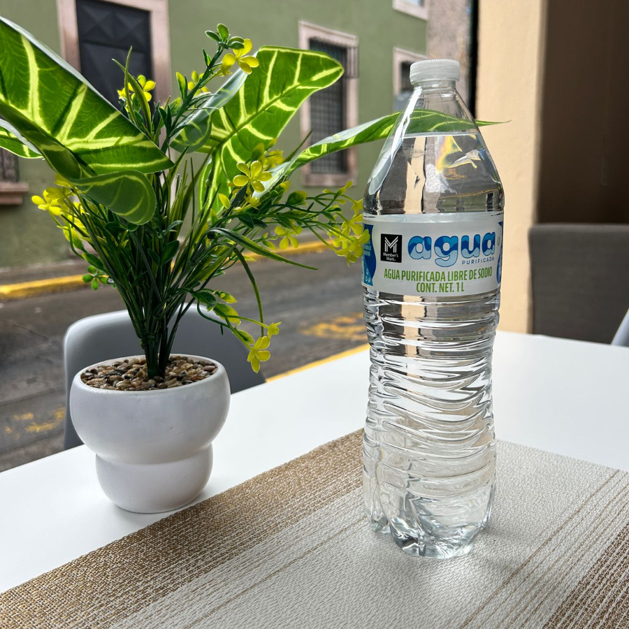 Agua embotellada 1lt