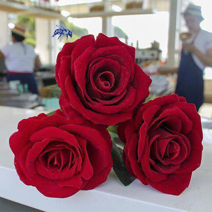 Rosa roja para enamorar