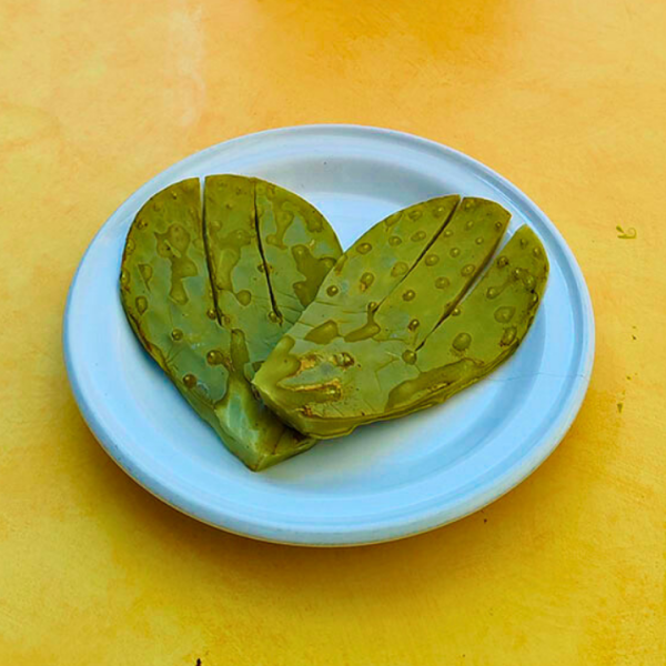 Nopalitos