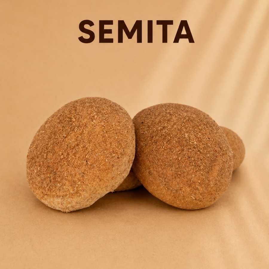 Semita