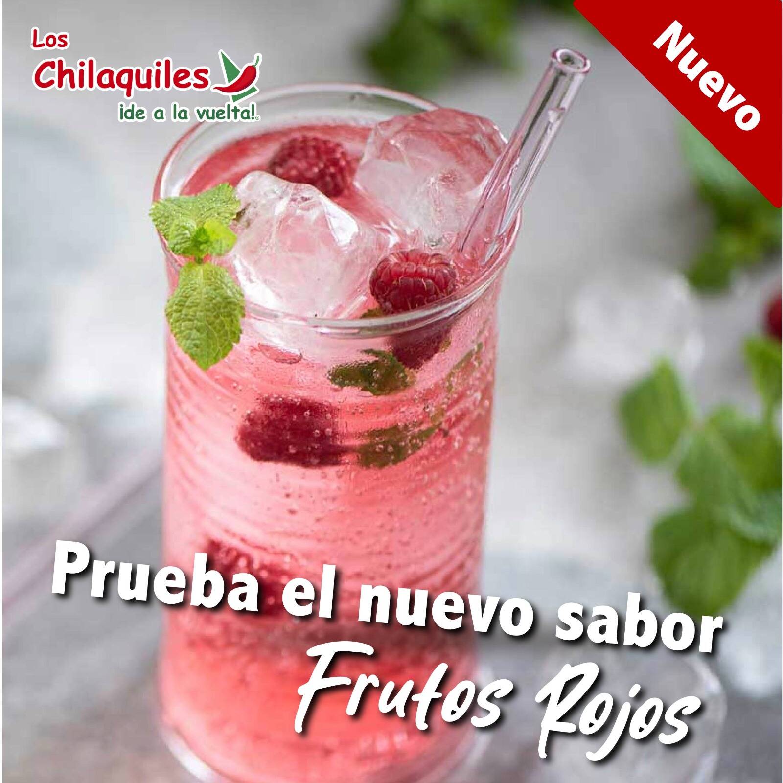 Agua frutos rojos