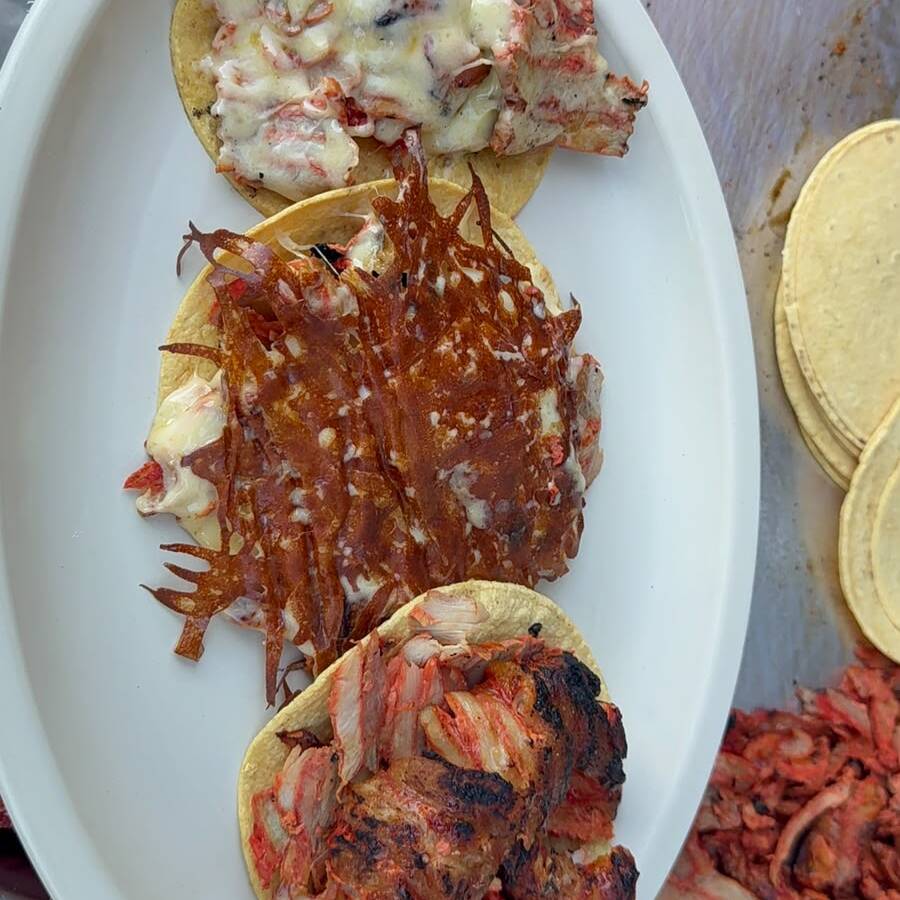 3 TACOS COSTRA