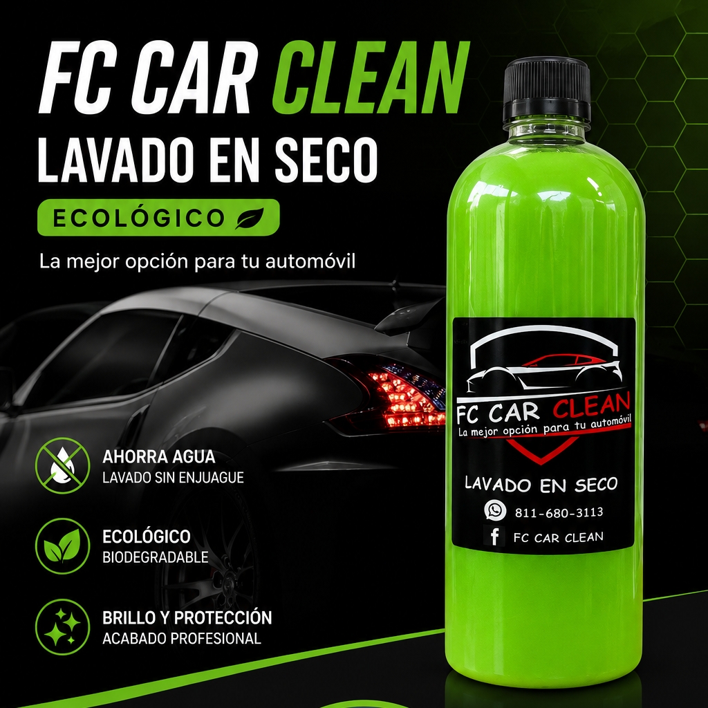Lavado en Seco