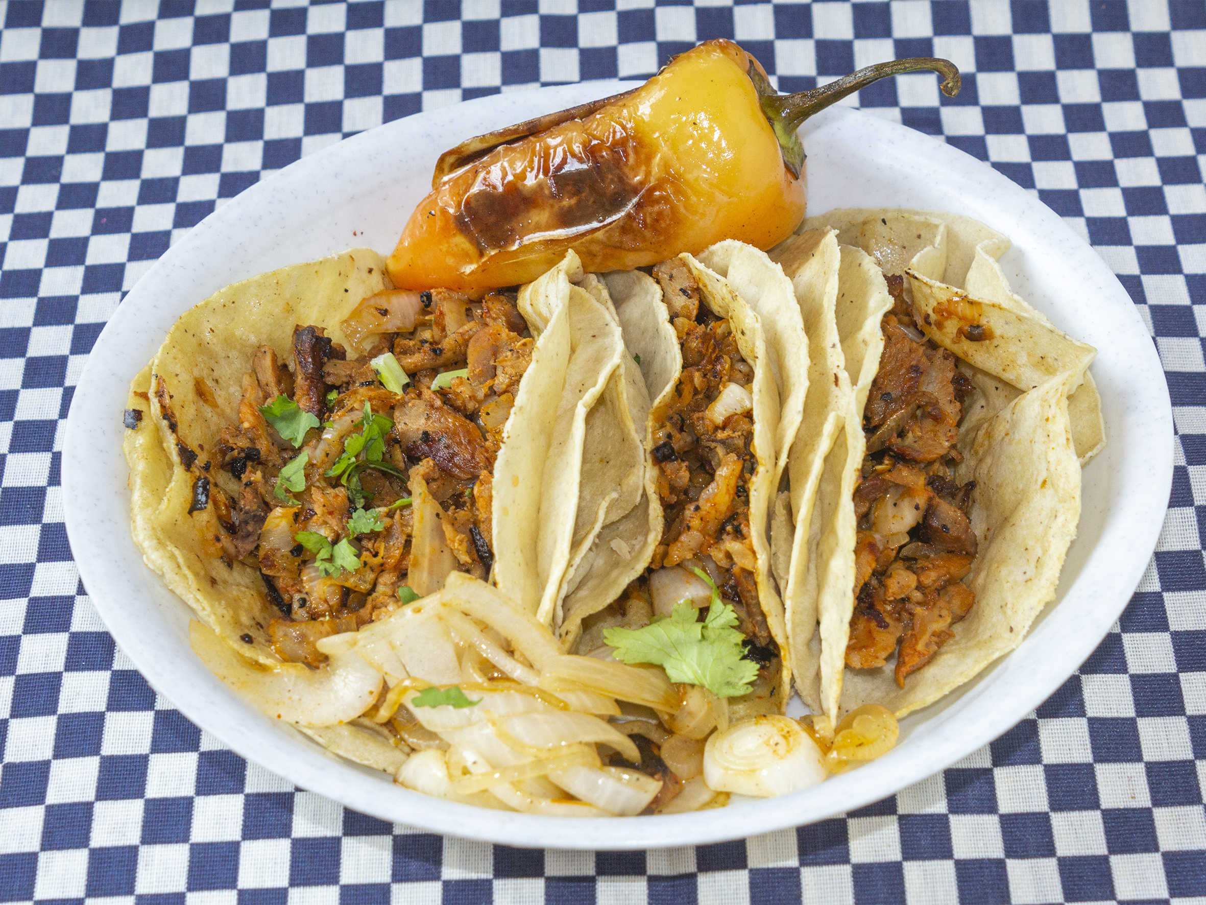Taco de Barbacoa Blando