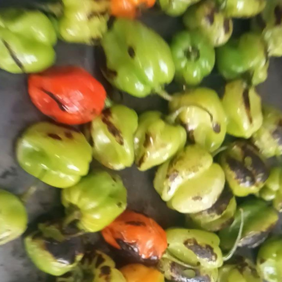 Salsa de Habanero 🌶️