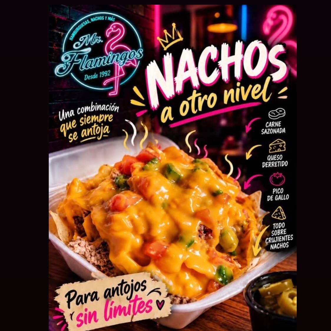 Nachos Preparados