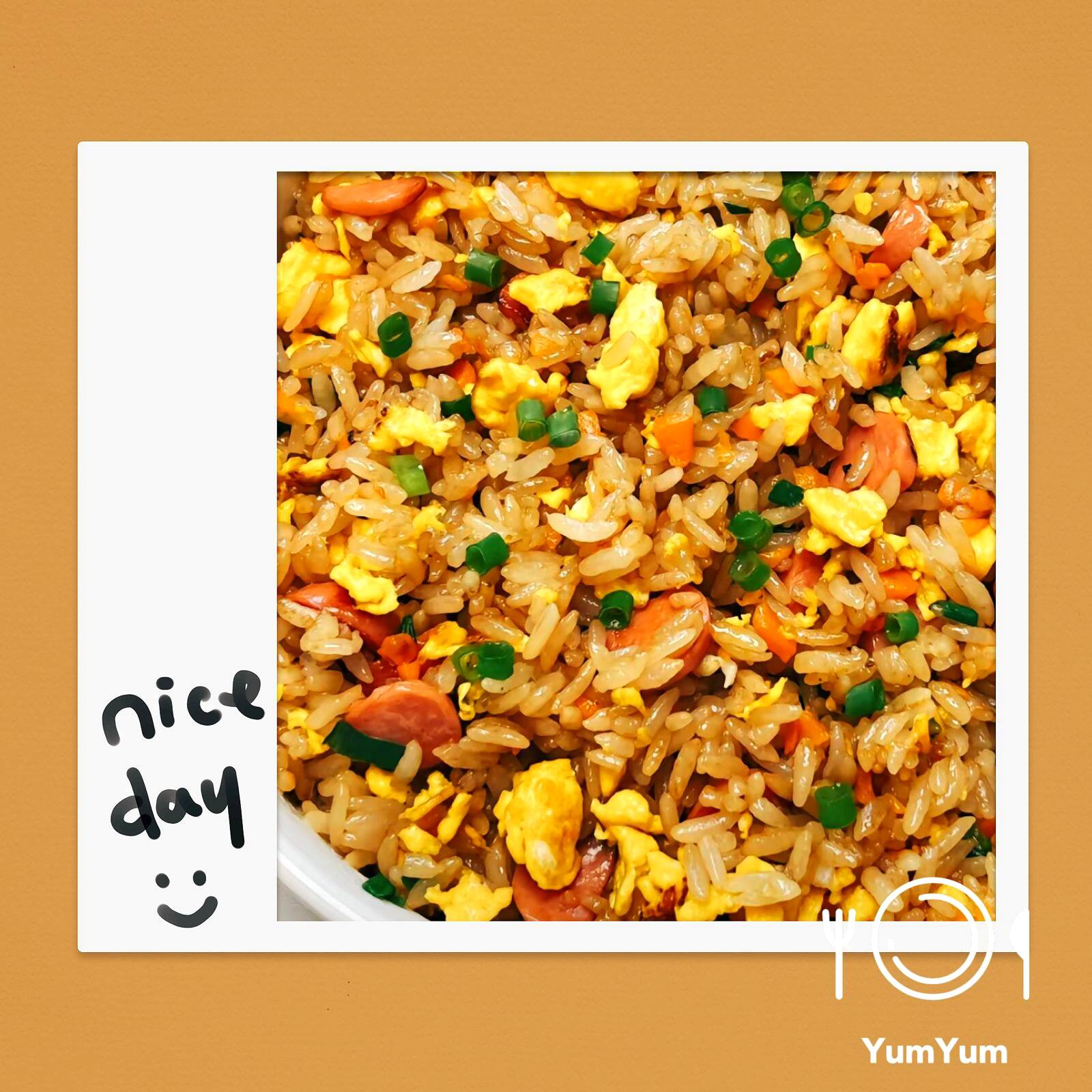 Plato Grande Arroz 🍚