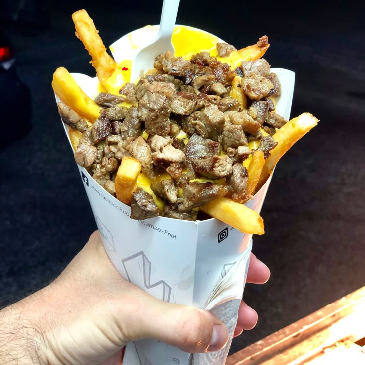 CONO DE PAPAS CON SIRLOIN