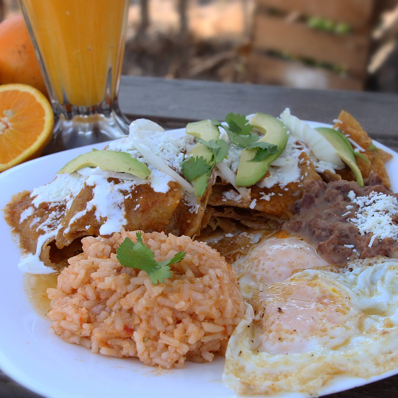 Chilaquiles Rojos con Huevo+Licuado a Elegir