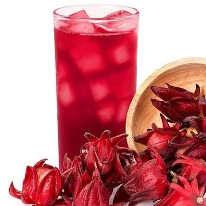 Agua de Jamaica 500ml.