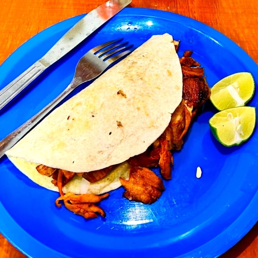 Quesadilla de Harina al Pastor