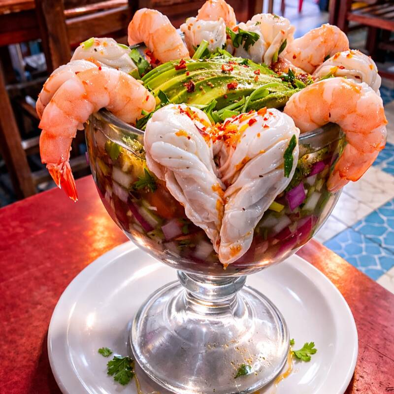 Vuelve A La Vida Pata Salada