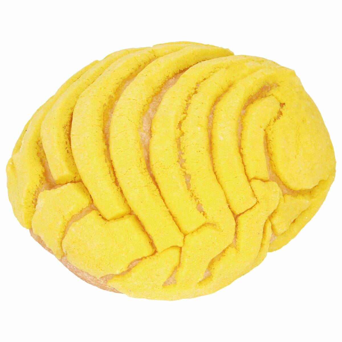 Concha Amarilla