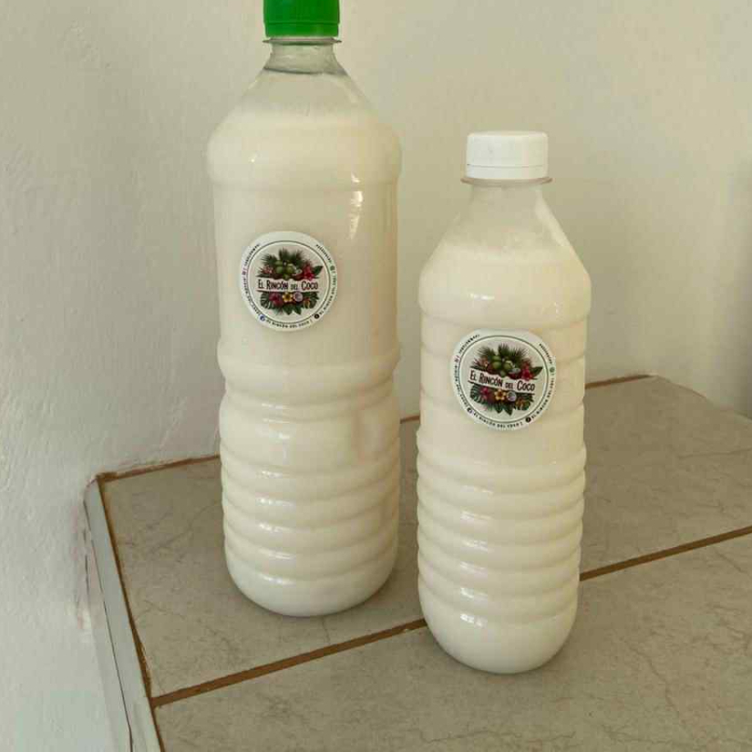 Horchata de Coco 1 LT