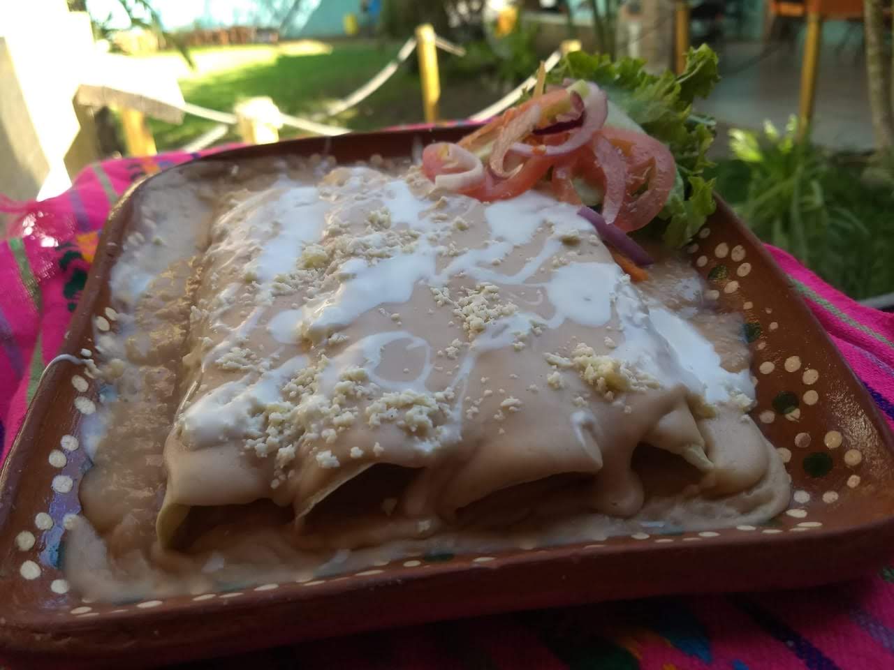 Enfrijoladas Sencillas