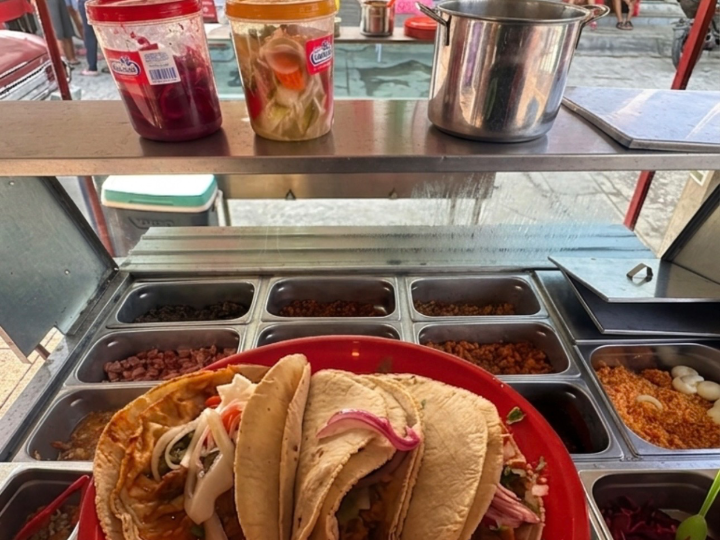 Tacos De Guisado El Gordo