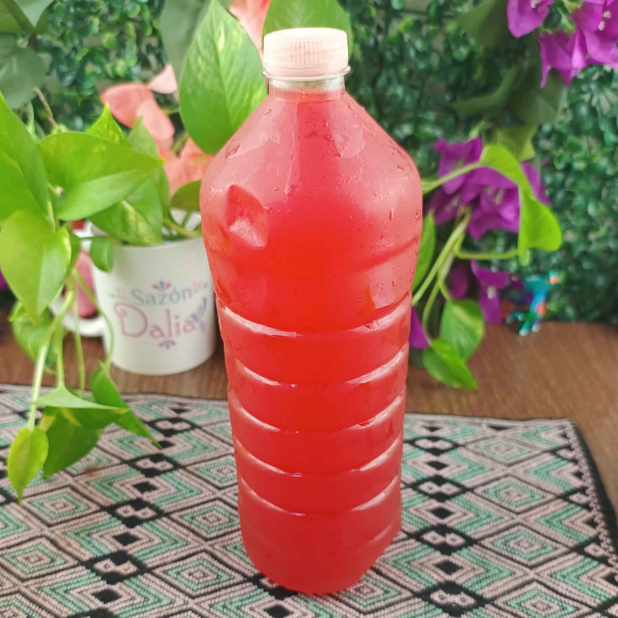1L de Sandía