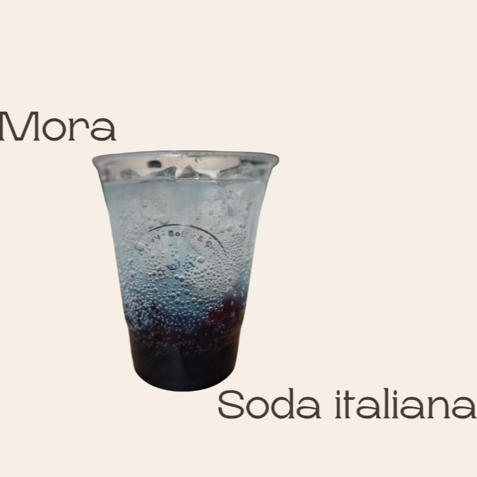 Soda Mora 16 Oz