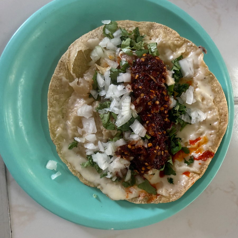 Quesadilla de Nervio de Pata