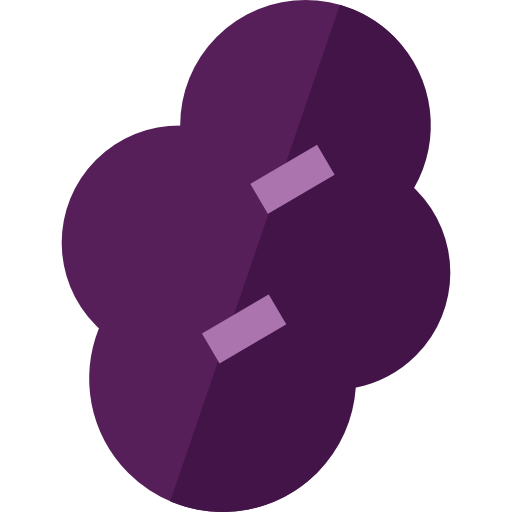 Ciruela