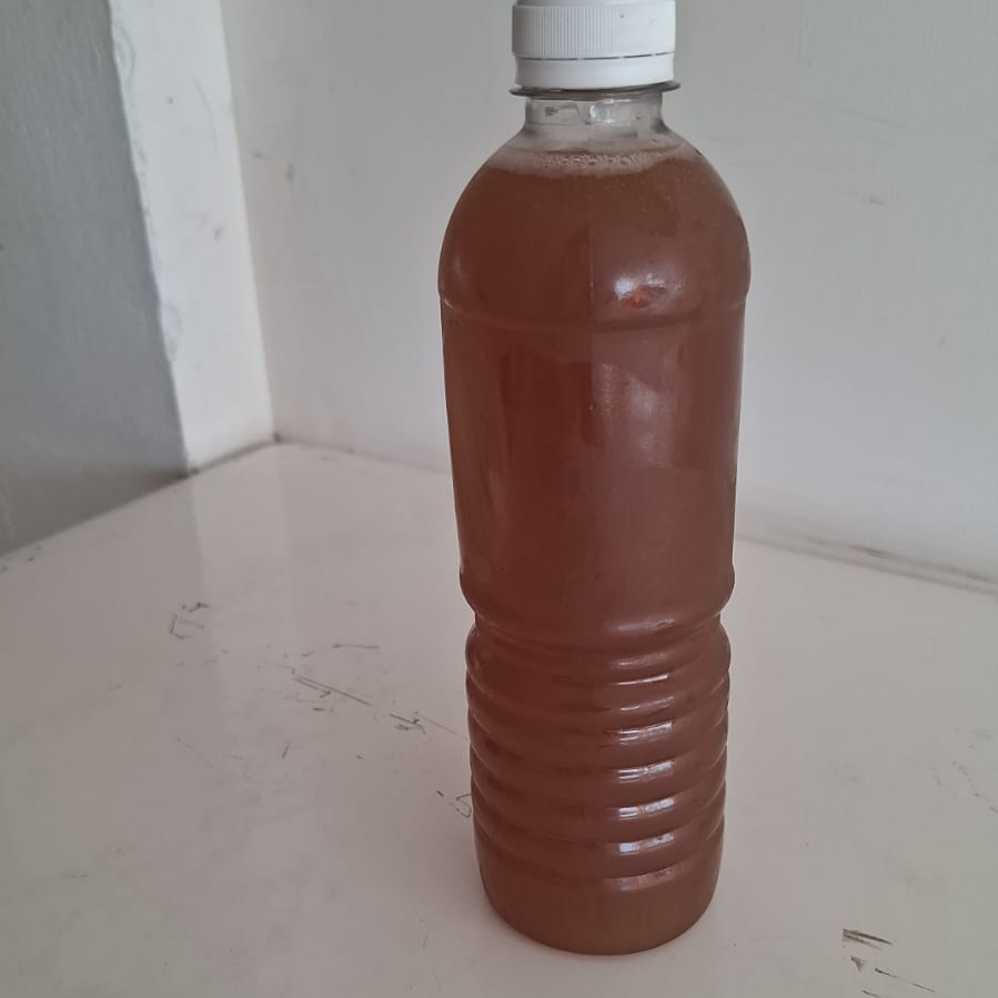 Agua de Frutas Naturales de Tamarindo 500 Ml.