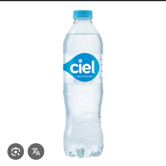 AGUA NATURAL 600 ml